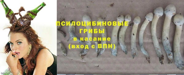 метадон Алзамай