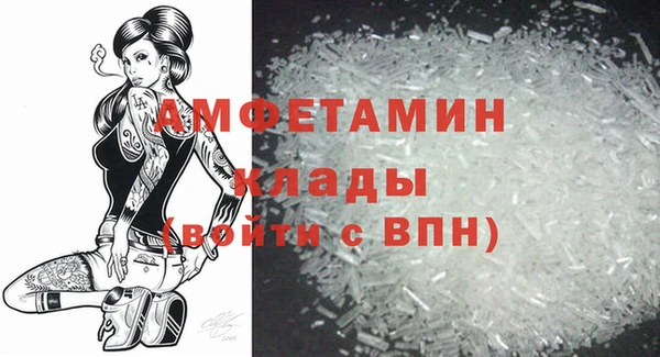 дживик Абаза