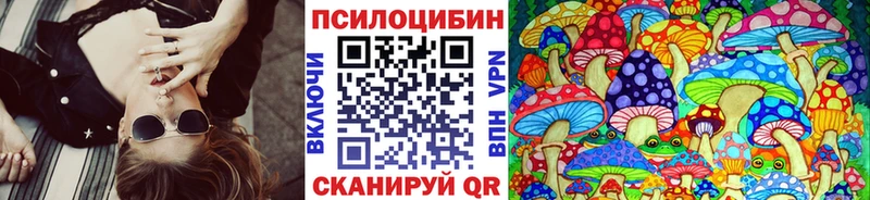 где найти Чапаевск Псилоцибиновые грибы Cubensis